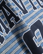 Embroidered striped short-sleeved shirt