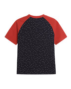 Bear-print color-blocked short-sleeved T-shirt (women's)